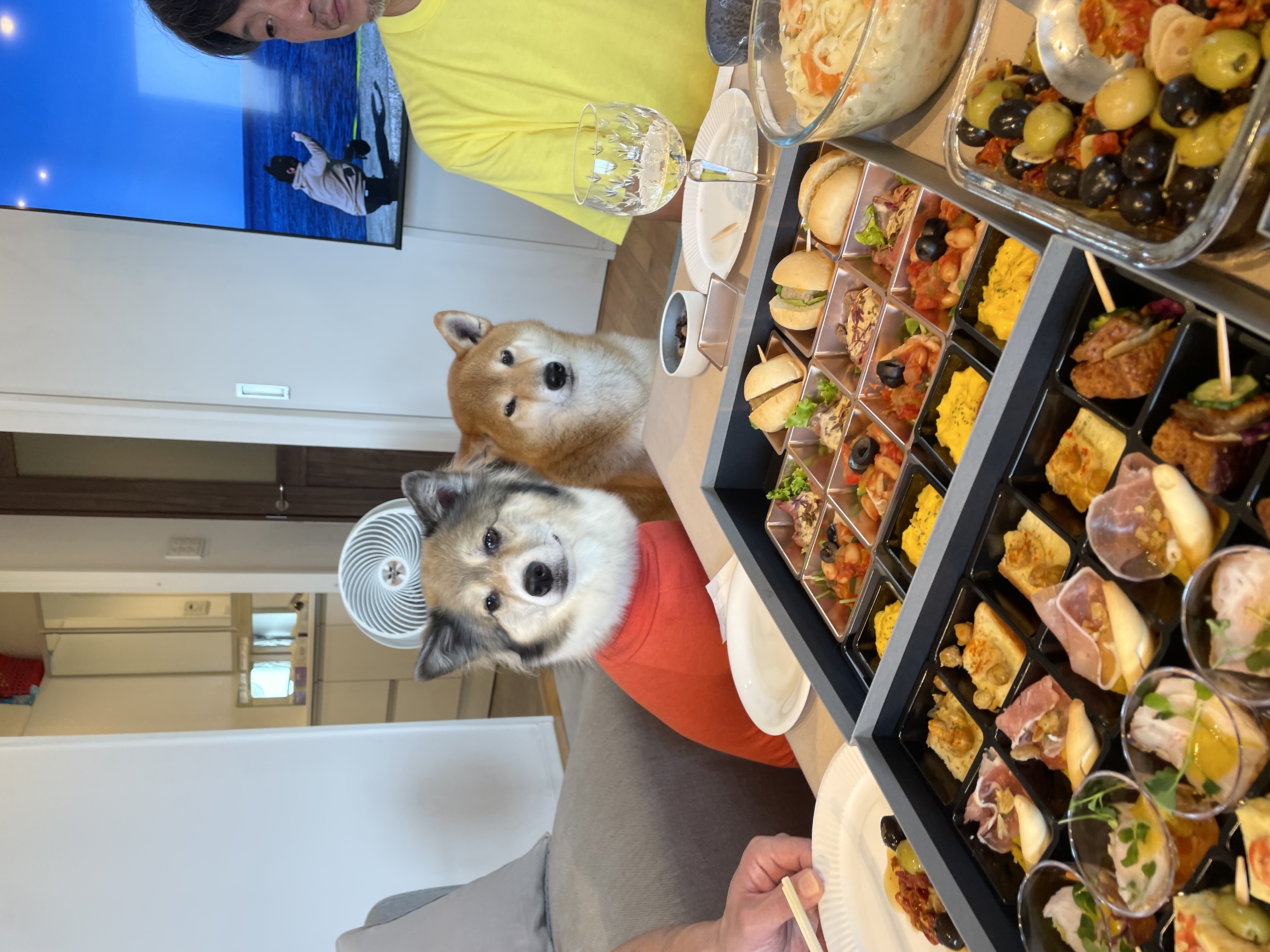 友人宅で、犬連れバースデーパーティー?
テーブルが華やかに。